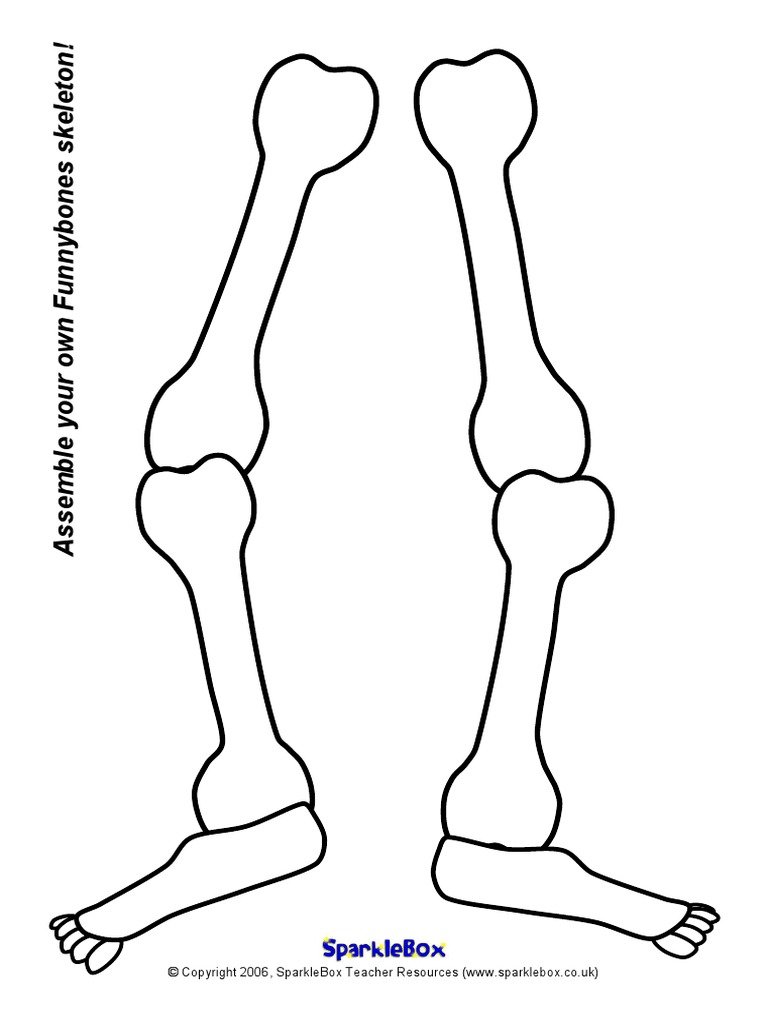 body-9-assemble-a-skeleton-pdf