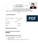 CV Hugo Ruiz