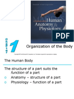 L1Organization of Body