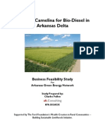 Biodiesel Feasibility1