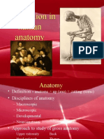 Introduction in Human Anatomy