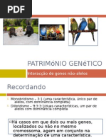 Património Genético (Interacção génica, Periquitos)