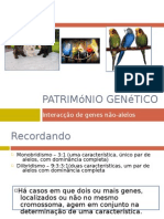 Património Genético (Interacção Génica, Periquitos)