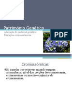 Património Genético (Mutações cromossómicas)