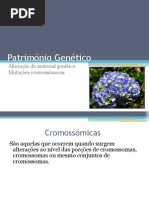 Património Genético (Mutações cromossómicas)