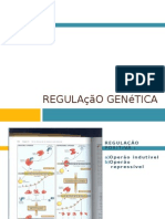 Regulação Genética