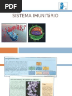 Sistema Imunitário