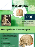 Occipital