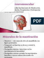 Sistema Neuromuscular - Protesis