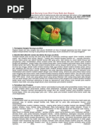 Download Cara Budidaya Ternak Burung Love Bird Yang Baik Dan Bagus by Afif Risti Rachmah SN206305941 doc pdf