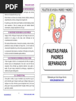 44 Pautas Padres Separados
