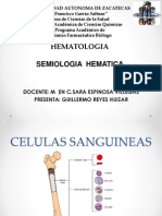 Semiologia Hematica