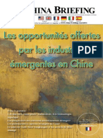 Les Opportunites Offertes Par Les Industries Emergentes en Chine