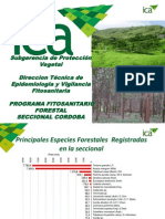 Situacion Fitosanitaria Forestal Cordoba Colombia Sem01 - 2013