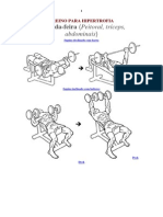 Treino Para Hipertrofia