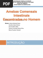 Amebas Comensais Pronto