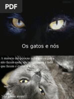A vida secreta dos gatos