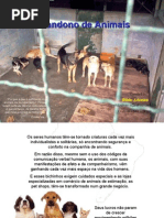 Abandono de animais