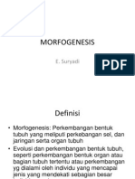 Morfogenesis