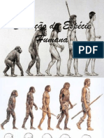 Evolução da Espécie Humana