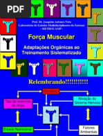 aula.força muscular