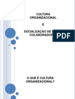 CULTURA ORGANIZACIONAL E SOCIALIZAÇÃO