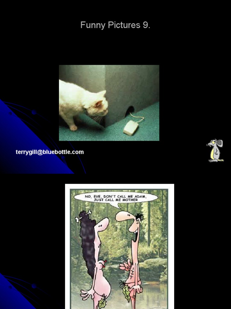 Humorous Images Collection | PDF