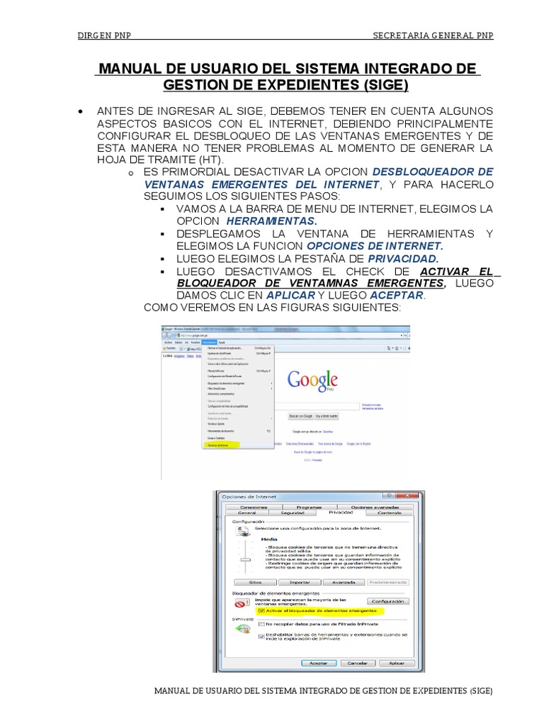 Manual de Usuario del Sistema SIGE PNP | PDF | Point and Click ...