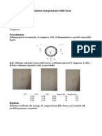 Relazione Di Fisica 2