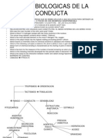 Bases Biologicas de La Conducta