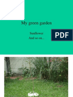 My Green Garden