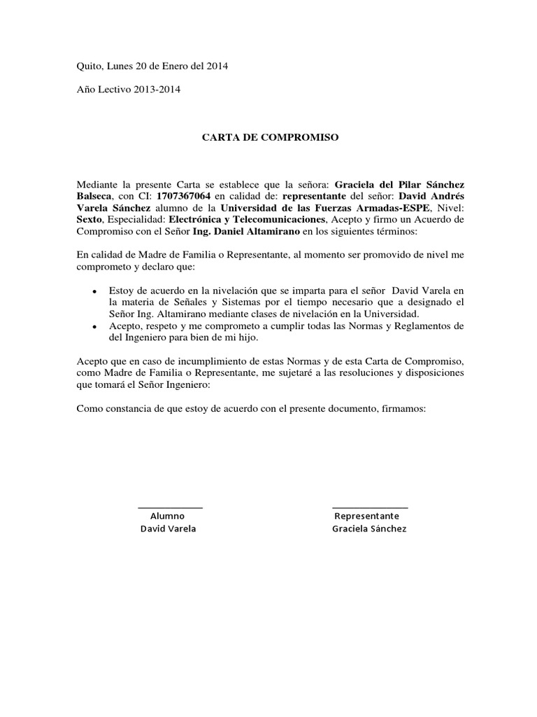 Carta de Compromiso | PDF