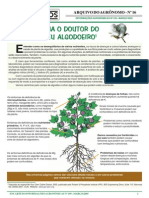 Seja o Doutor Do Seu Algodoeiro 2 PDF