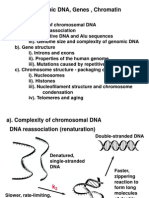 Genomic DNA 2