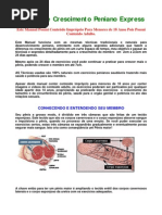 Manual de Crescimento Peniano