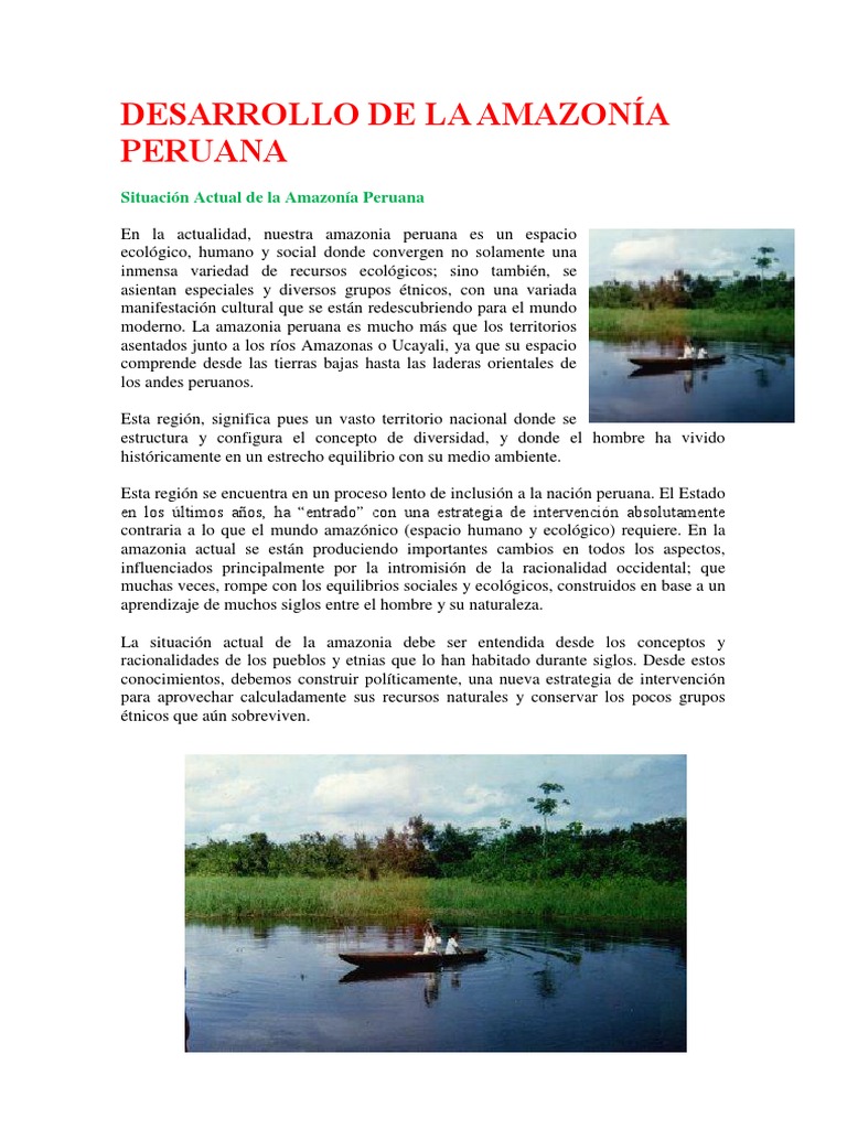 Situación Actual de la Amazonía Peruana | PDF | Ciencias sociales