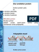 Struktur Protein