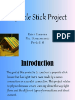 Popsicle Stick Project
