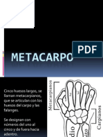 METACARPO