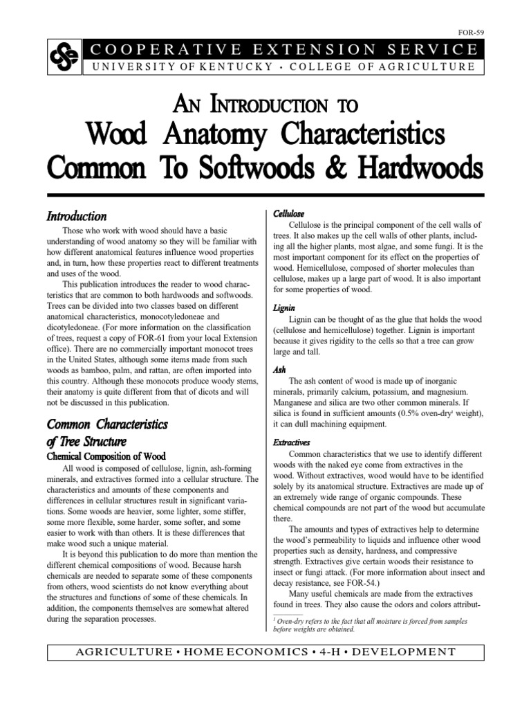 Introduction To Wood Anatomy | PDF | Bark | Wood