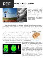 Image showcasing Dopamine's Role in Human Behavior | PDF | Dopamine | Reward System