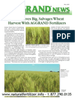 Wheat Farmer Save $26,000 Using AGGRAND Fertilizers