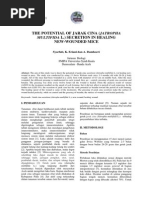 Download JARAK CINA JATROPHA MULTIFIDA L by Rizka Hayyu Nafiah SN206671795 doc pdf