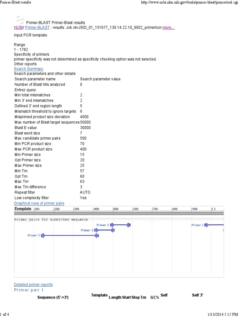 Primer Blast Results Iniciador (Biología Molecular) Explosión