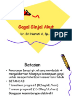 Gagal Ginjal Akut