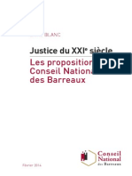 Livre Blanc Du CNB Sur La Justice Du 21ème Siècle