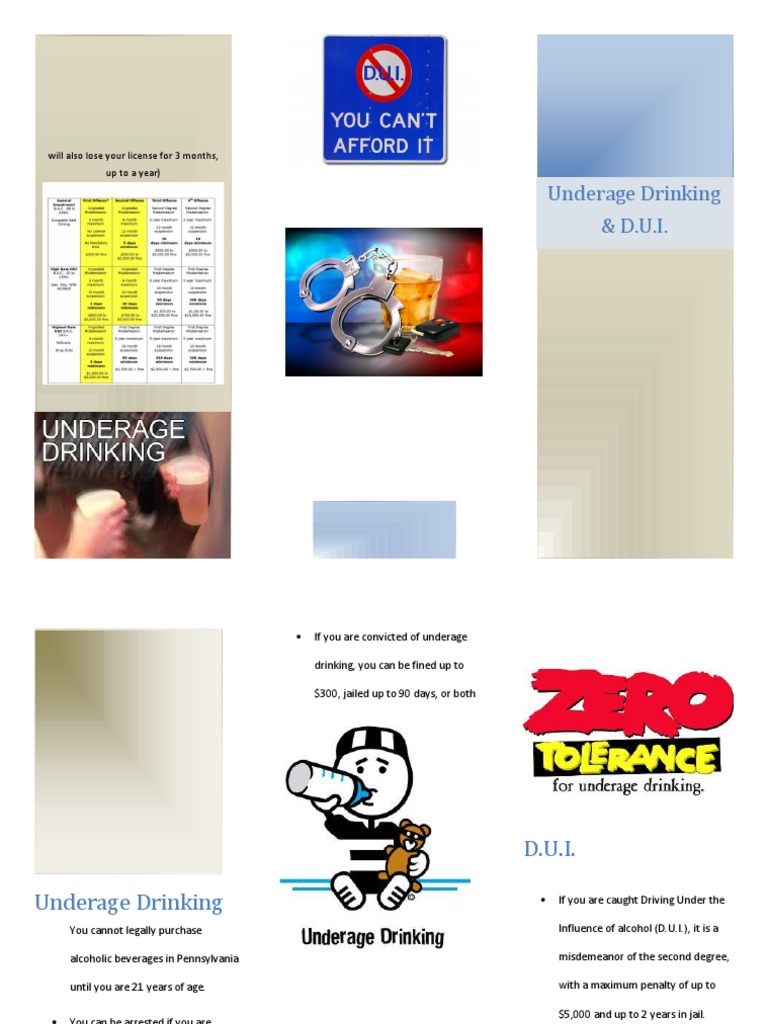 Underage Drinking and DUI Laws in PA | PDF | Social Science