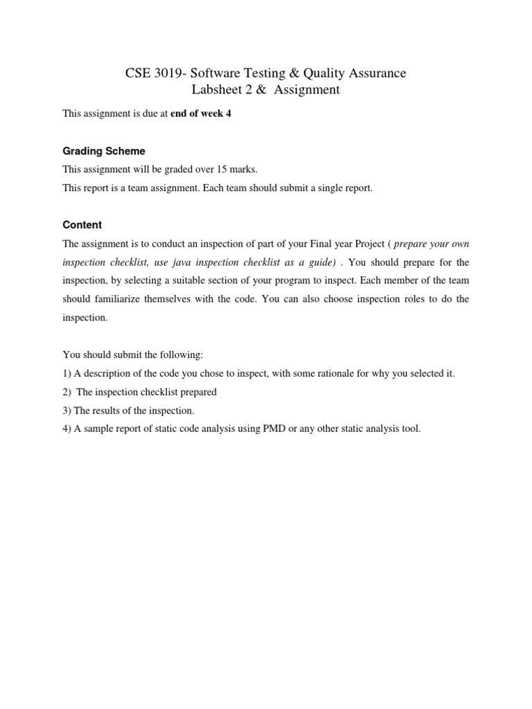 Software Testing Assignment Guidelines | PDF