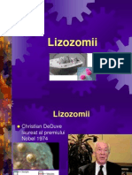 Lizozomi Curs