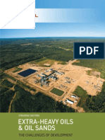 Extra-Heavy Oils & Oil Sands: The Challenges of Development